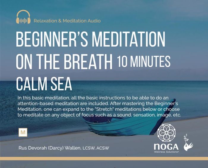Meditations guided survive practice